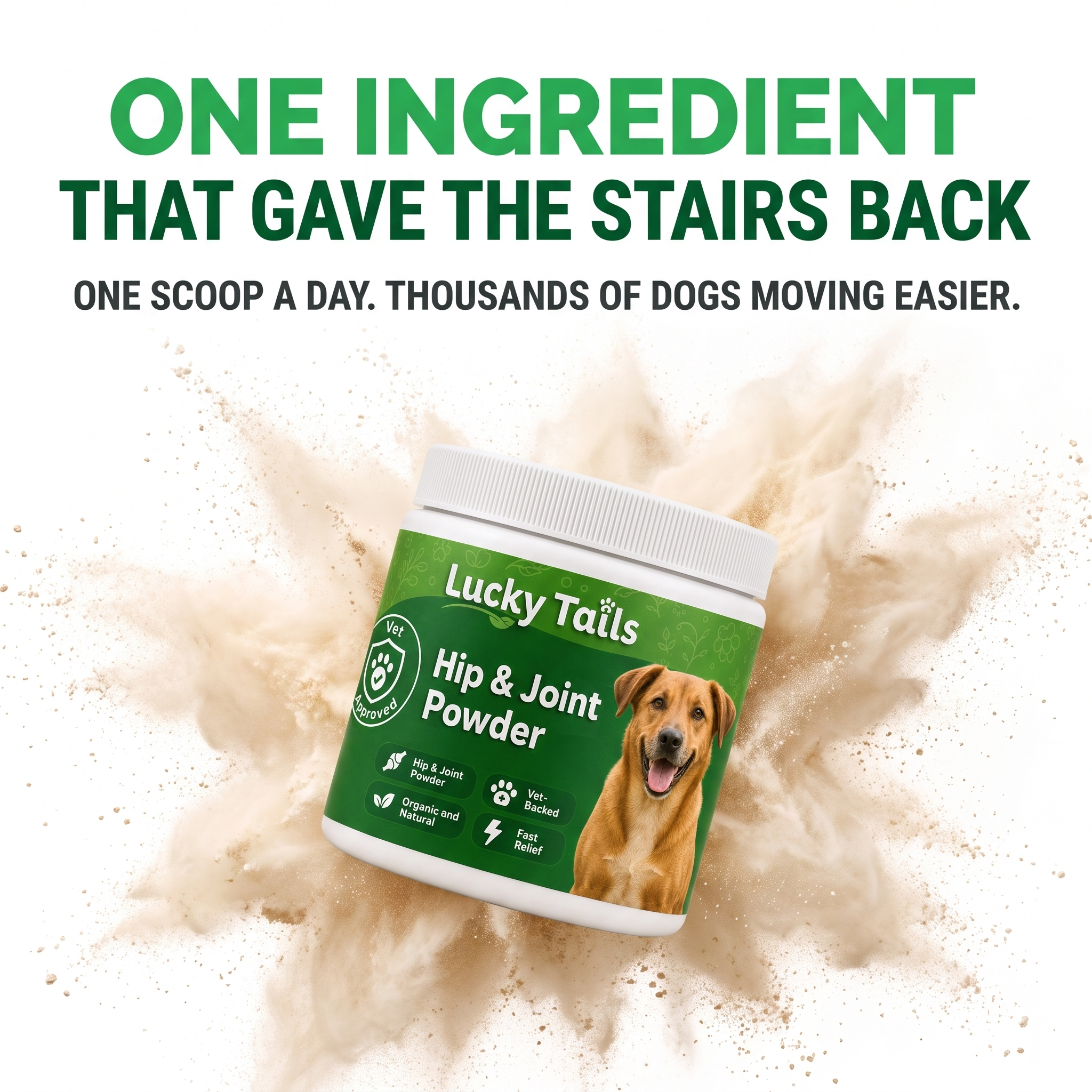 One ingredient that gave the stairs back - Lucky Tails Hip & Joint Powder tub in a burst of powder