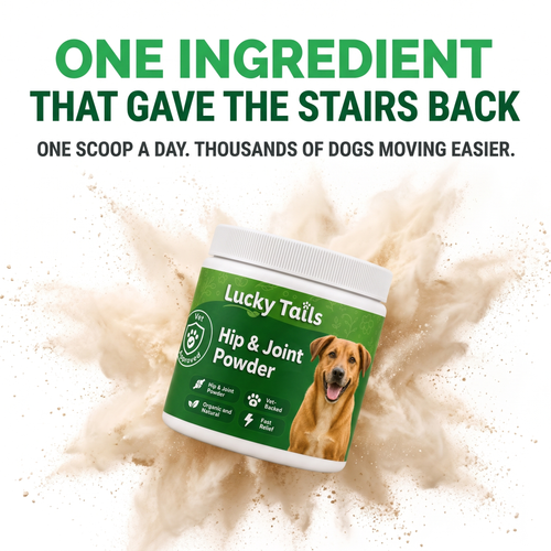 One ingredient that gave the stairs back - Lucky Tails Hip & Joint Powder tub in a burst of powder