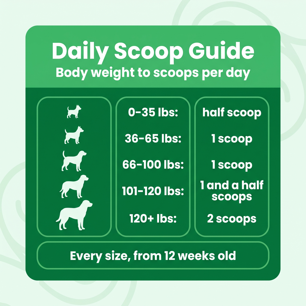 Daily scoop guide by dog body weight, from half a scoop under 35 lbs to 2 scoops over 120 lbs