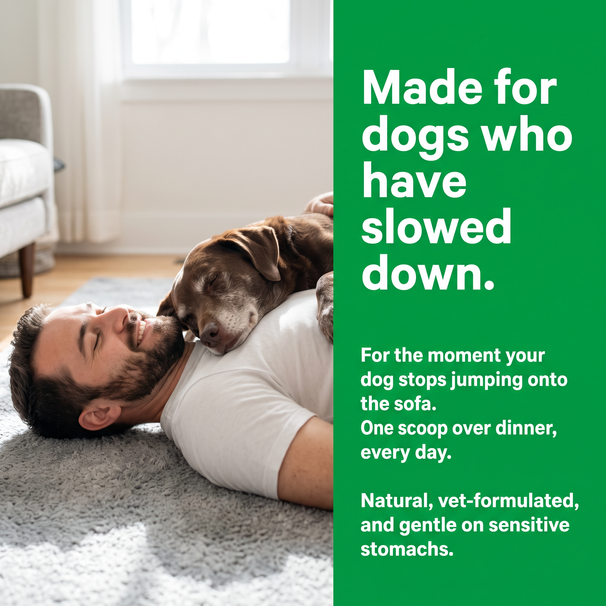 Made for dogs who have slowed down - a senior dog dozing on its owner's chest
