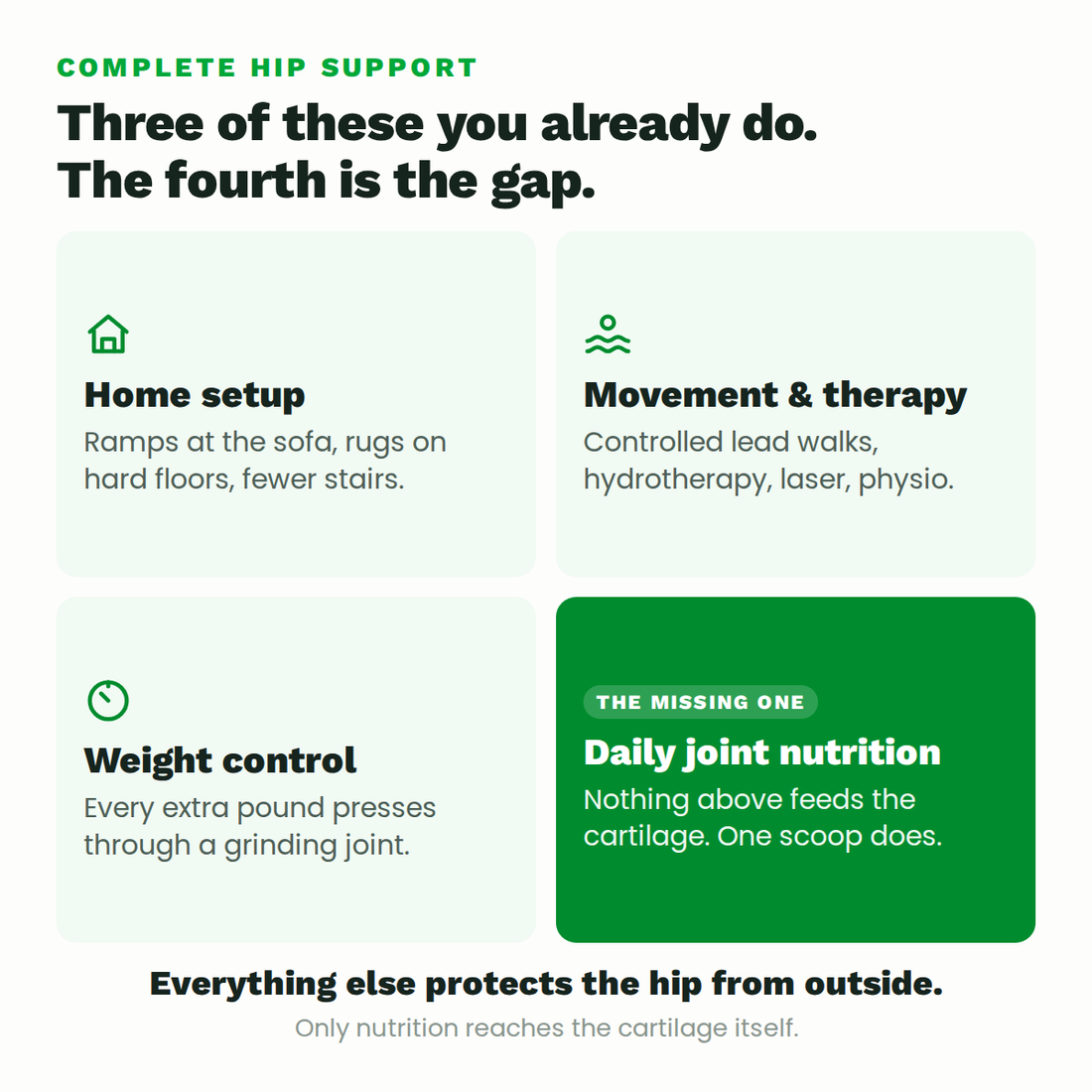 Four pillars of hip support: home setup, movement and therapy, weight control, and daily cartilage nutrition
