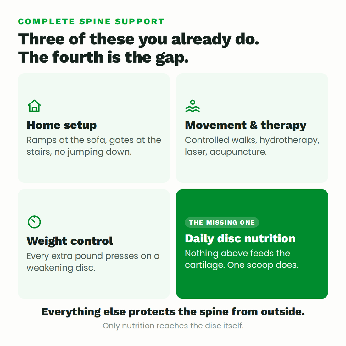 Four pillars of spine support: home setup, movement and therapy, weight, and daily disc nutrition