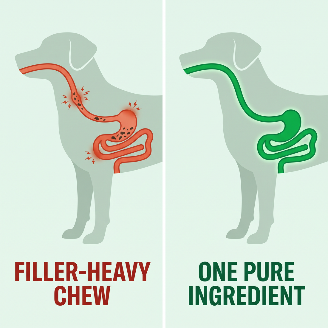 An irritated digestive tract on a filler-heavy chew beside a calm one on a single pure ingredient